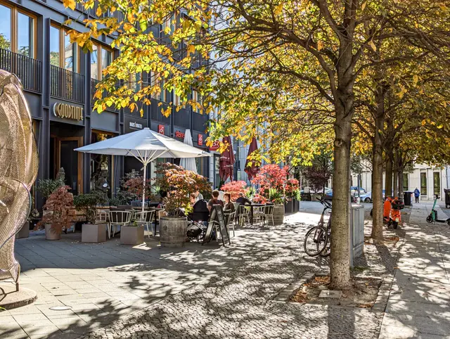 Café terrace under autumn trees nearby